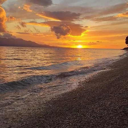 Vito * Ploce (Dubrovnik-Neretva)
