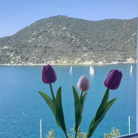 Apartment Vito Ploce (Dubrovnik-Neretva)